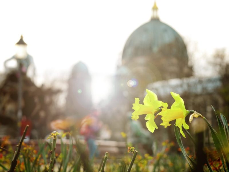 Wetter Berlin Brandenburg