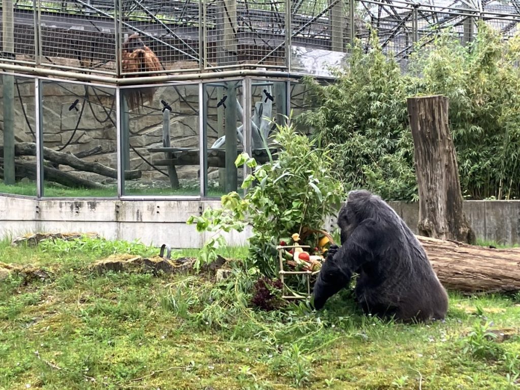 Zoo Berlin