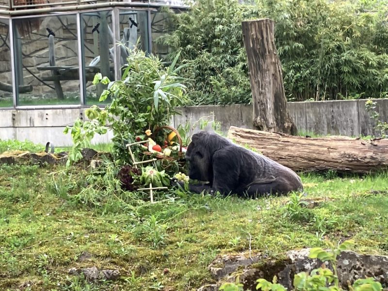 Zoo Berlin