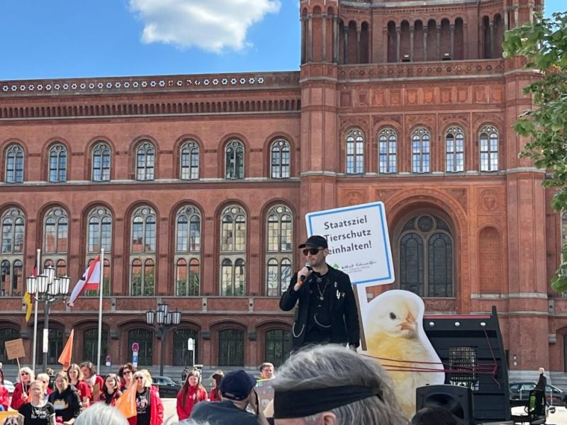 Demos in Berlin