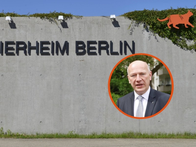Tierheim Berlin Kai Wegner