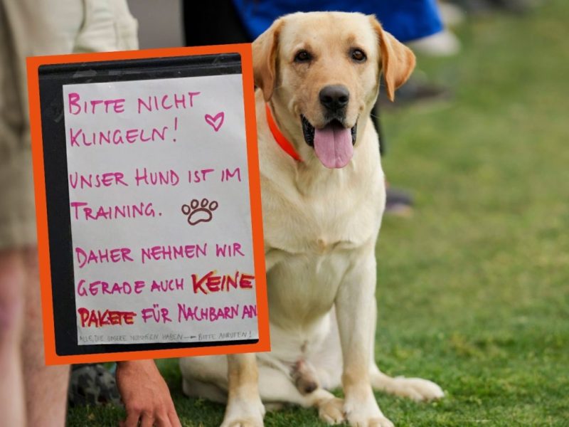 Hunde
