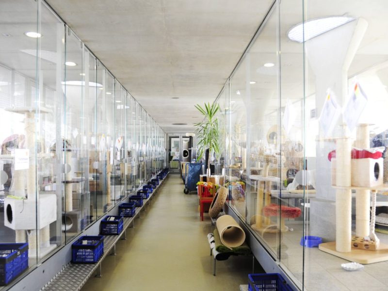 Tierheim Berlin