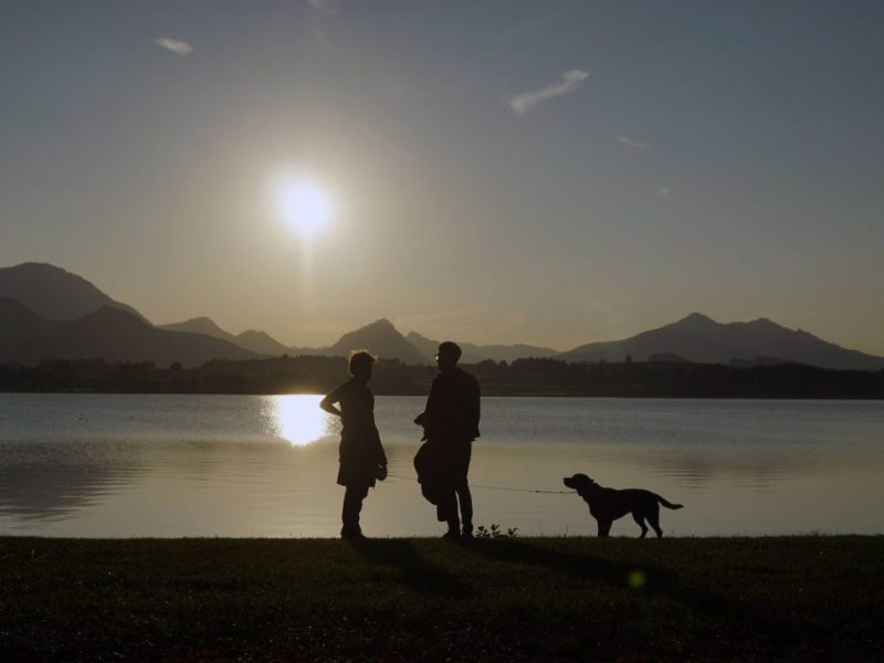 Urlaub mit Hund in Bayern.