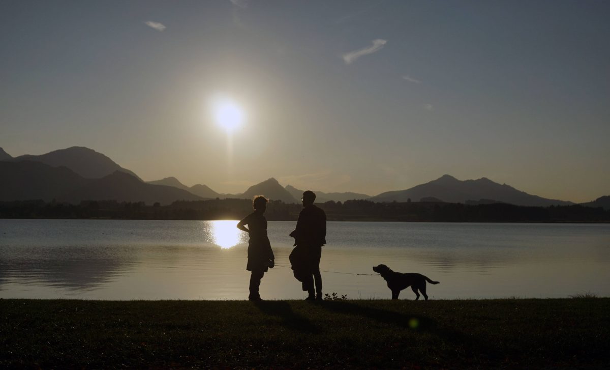 Urlaub mit Hund in Bayern.