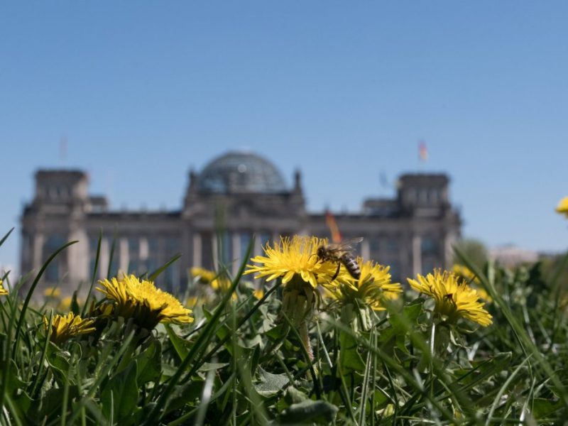 Wetter