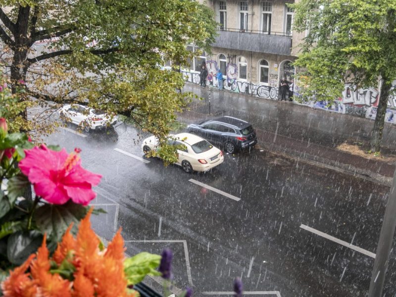 Wetter