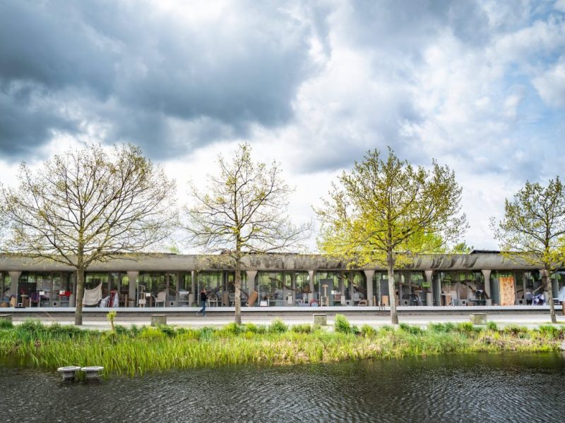 Tierheim Berlin