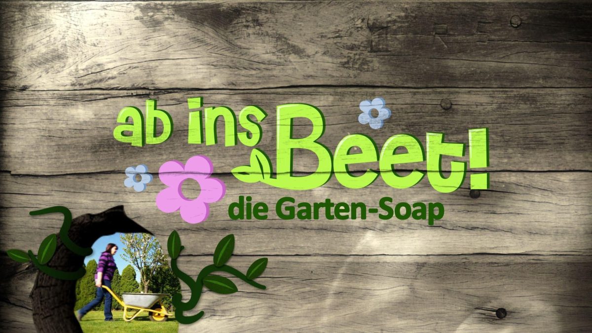 Ab ins Beet