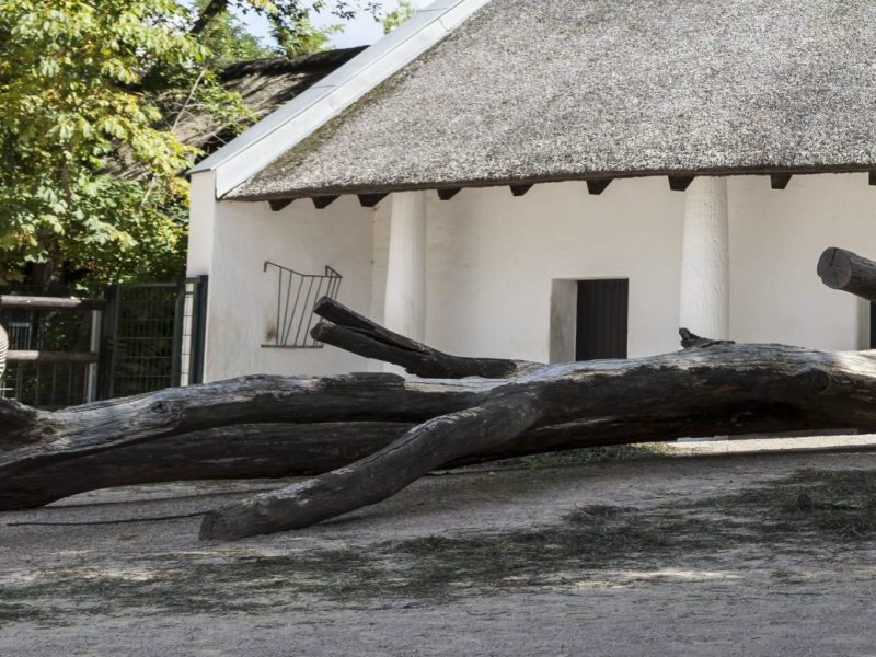 Zoo Berlin