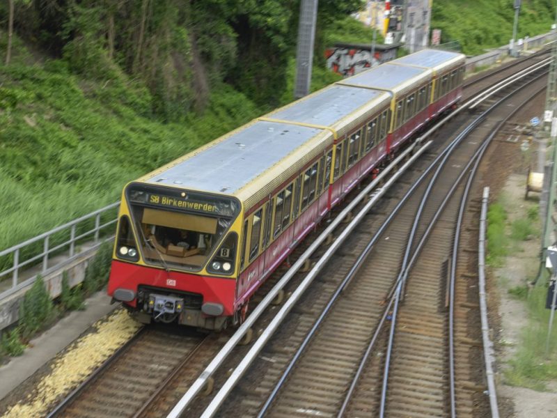 Die Linie S8 der S-Bahn Berlin.