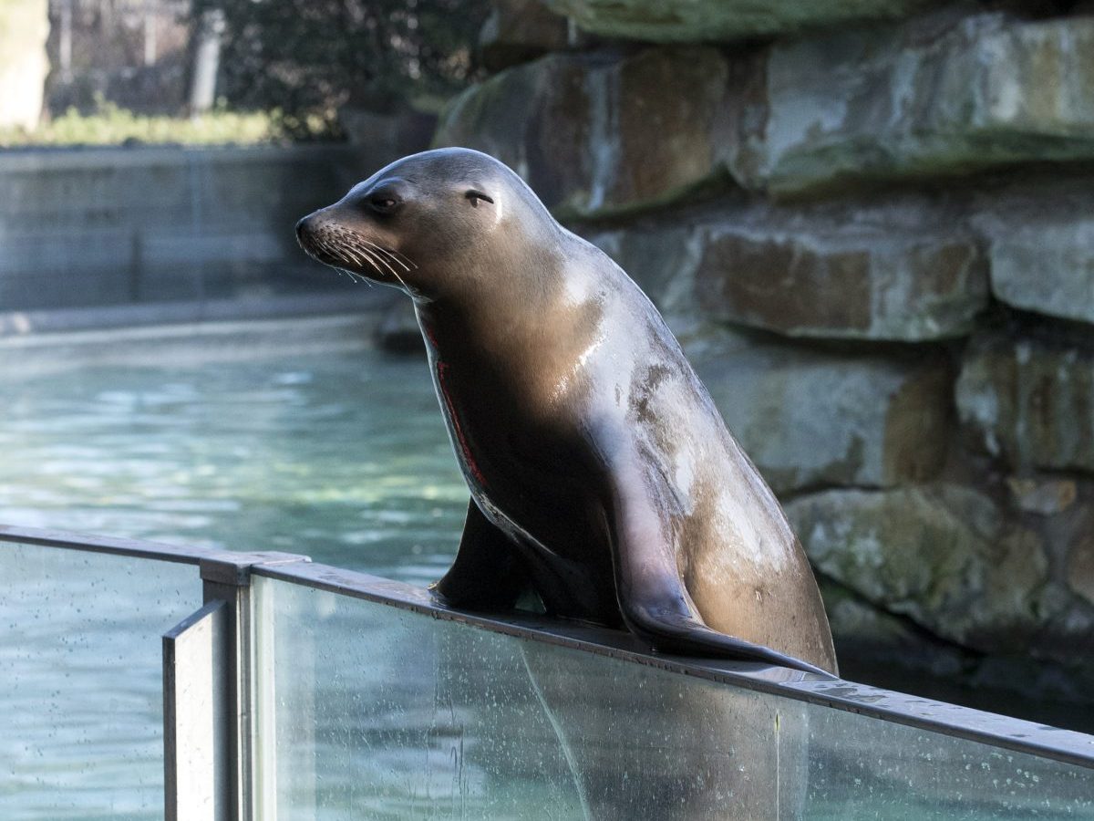 Zoo Berlin