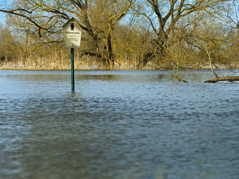 Wetter in Berlin & Brandenburg