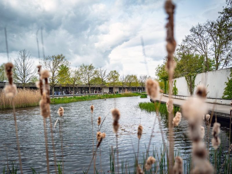 Tierheim Berlin