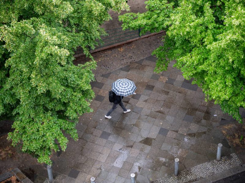 Wetter in Berlin und Brandenburg