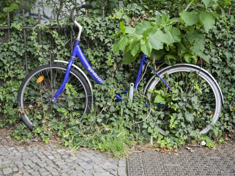 Neukölln