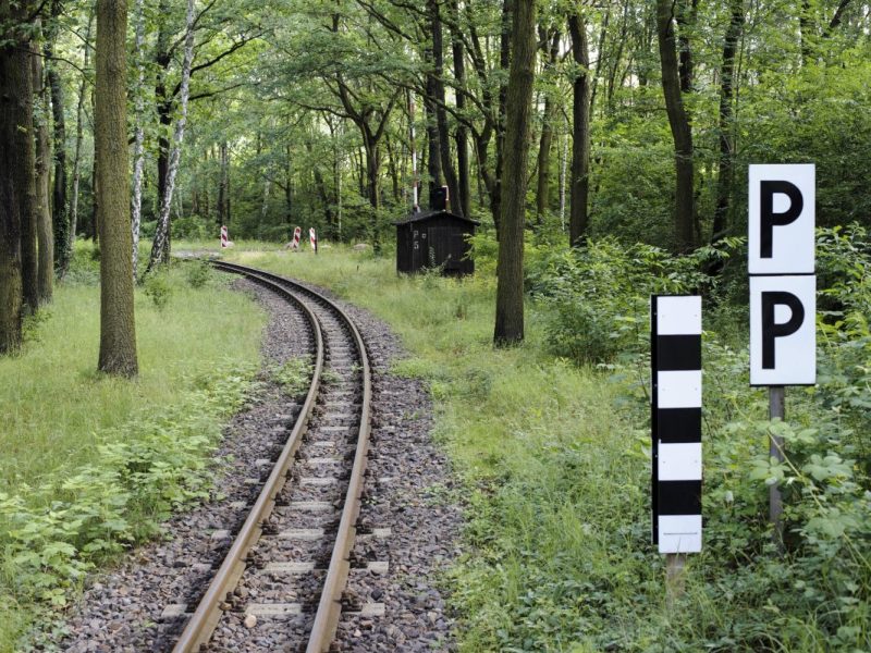 Wuhlheide in Berlin