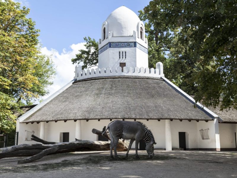 Zoo Berlin