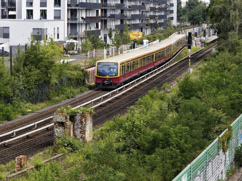 Eine S-Bahn fährt durch Berlin.