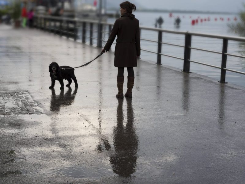 Wetter in Berlin & Brandenburg