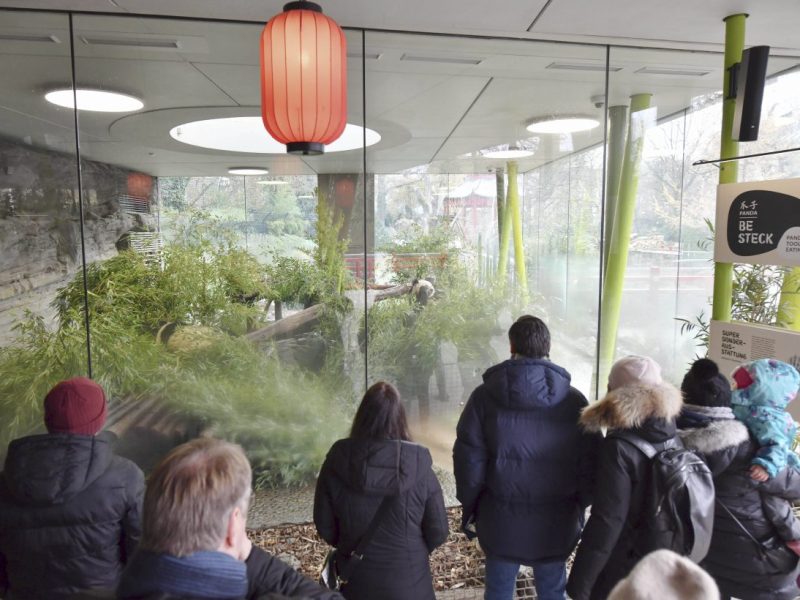 Zoo Berlin