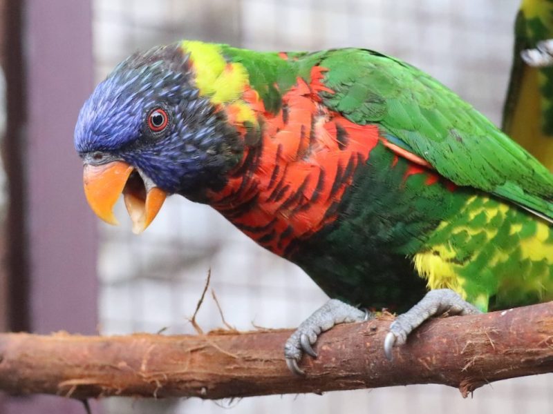 Tierpark Berlin