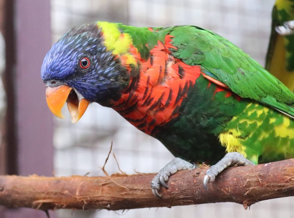 Tierpark Berlin