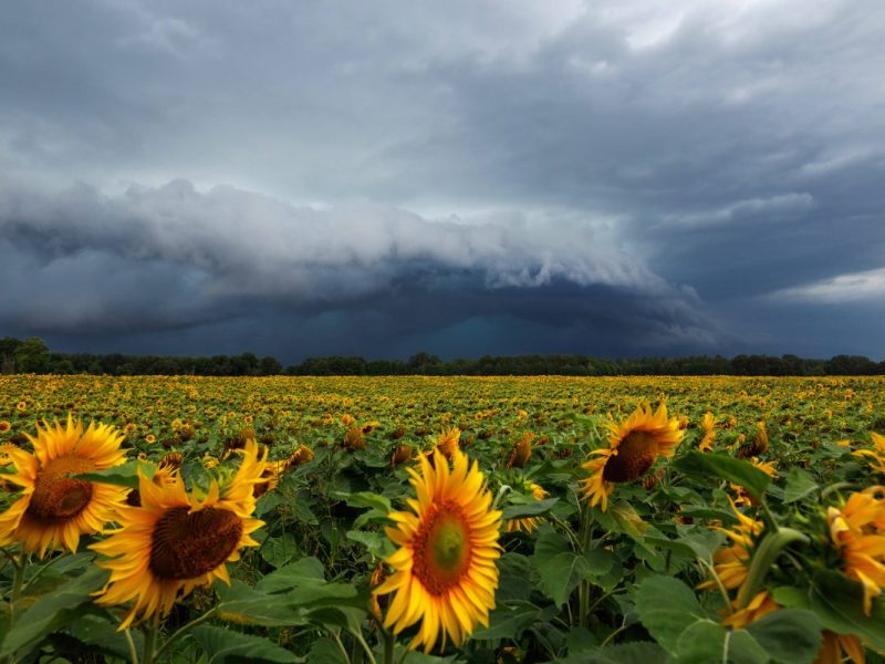 Wetter in Berlin & Brandenburg