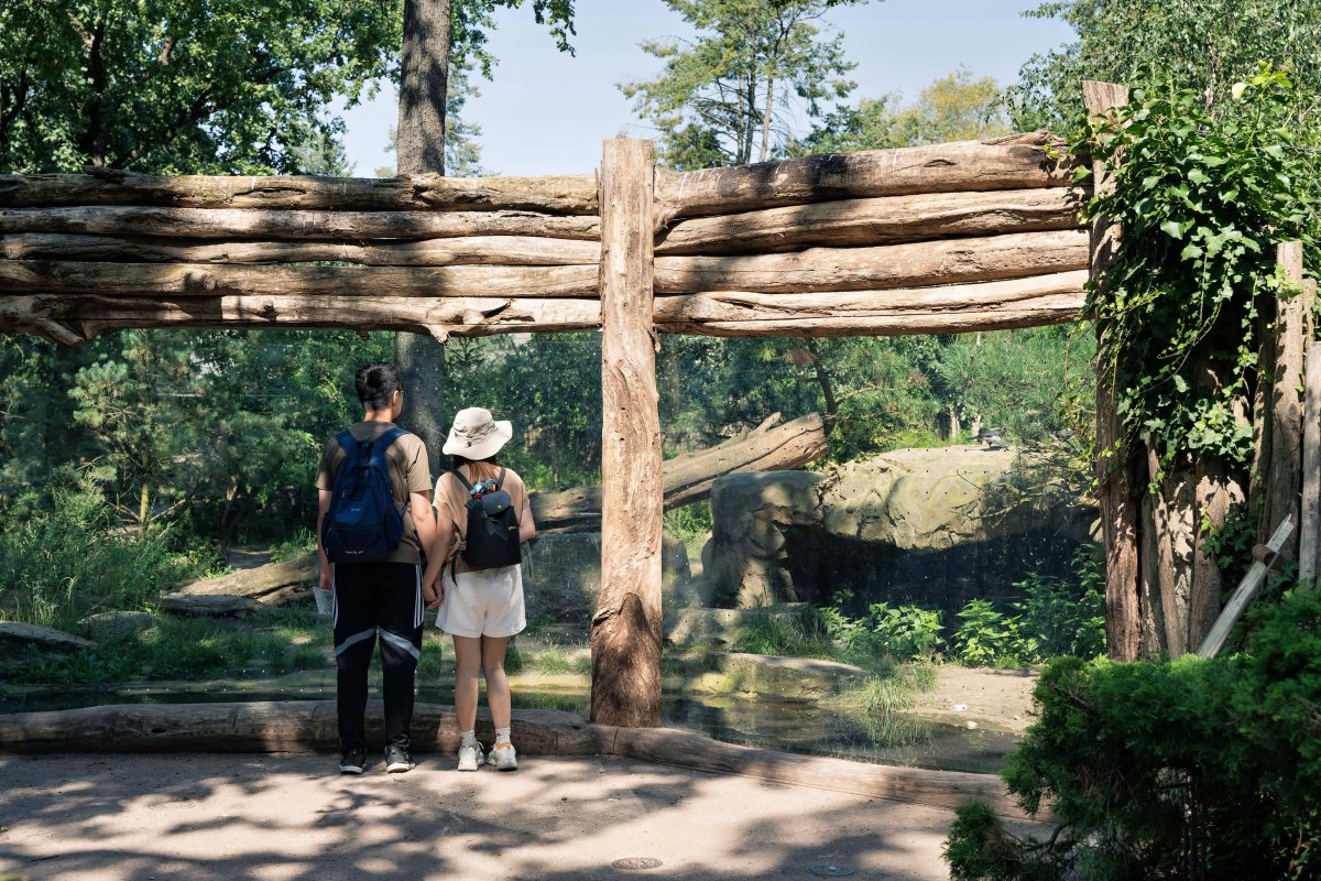 Zoo Berlin