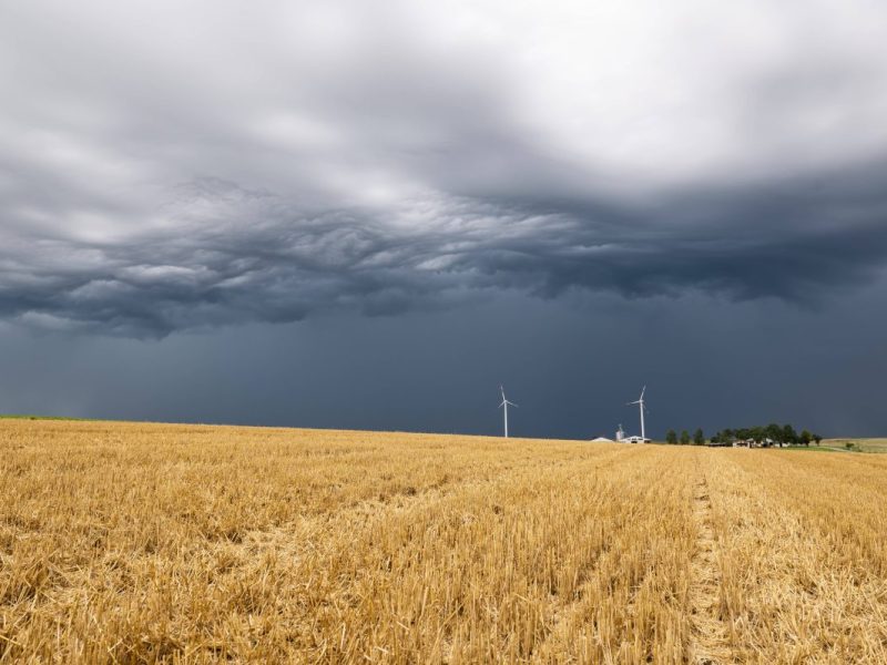Wetter in Berlin & Brandenburg
