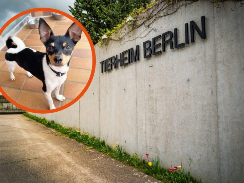 Berlin