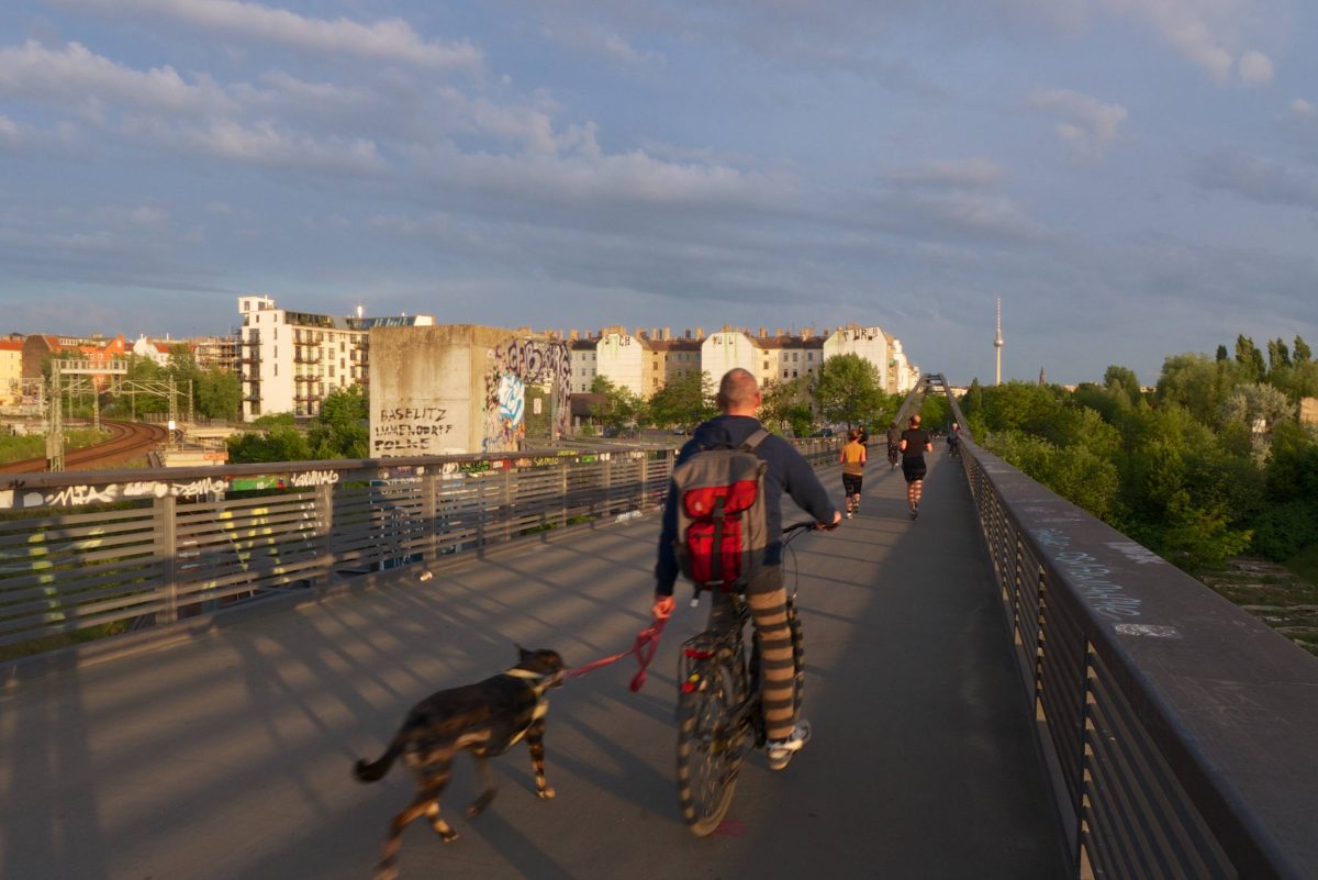 Hund in Berlin