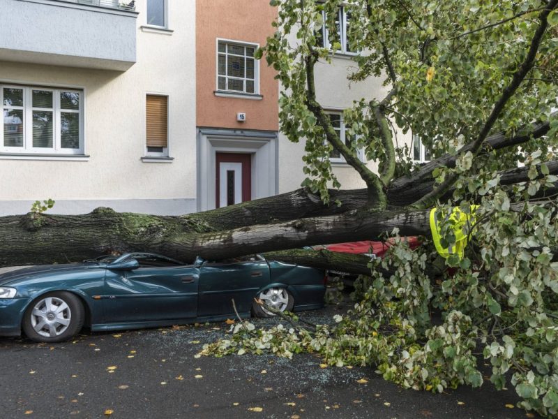 Wetter in Berlin & Brandenburg