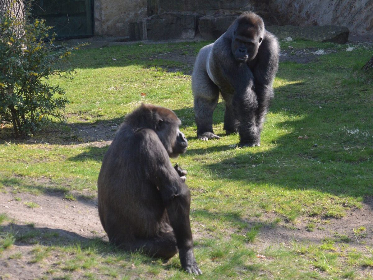 Zoo Berlin