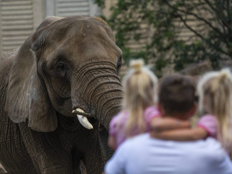 Zoo Berlin