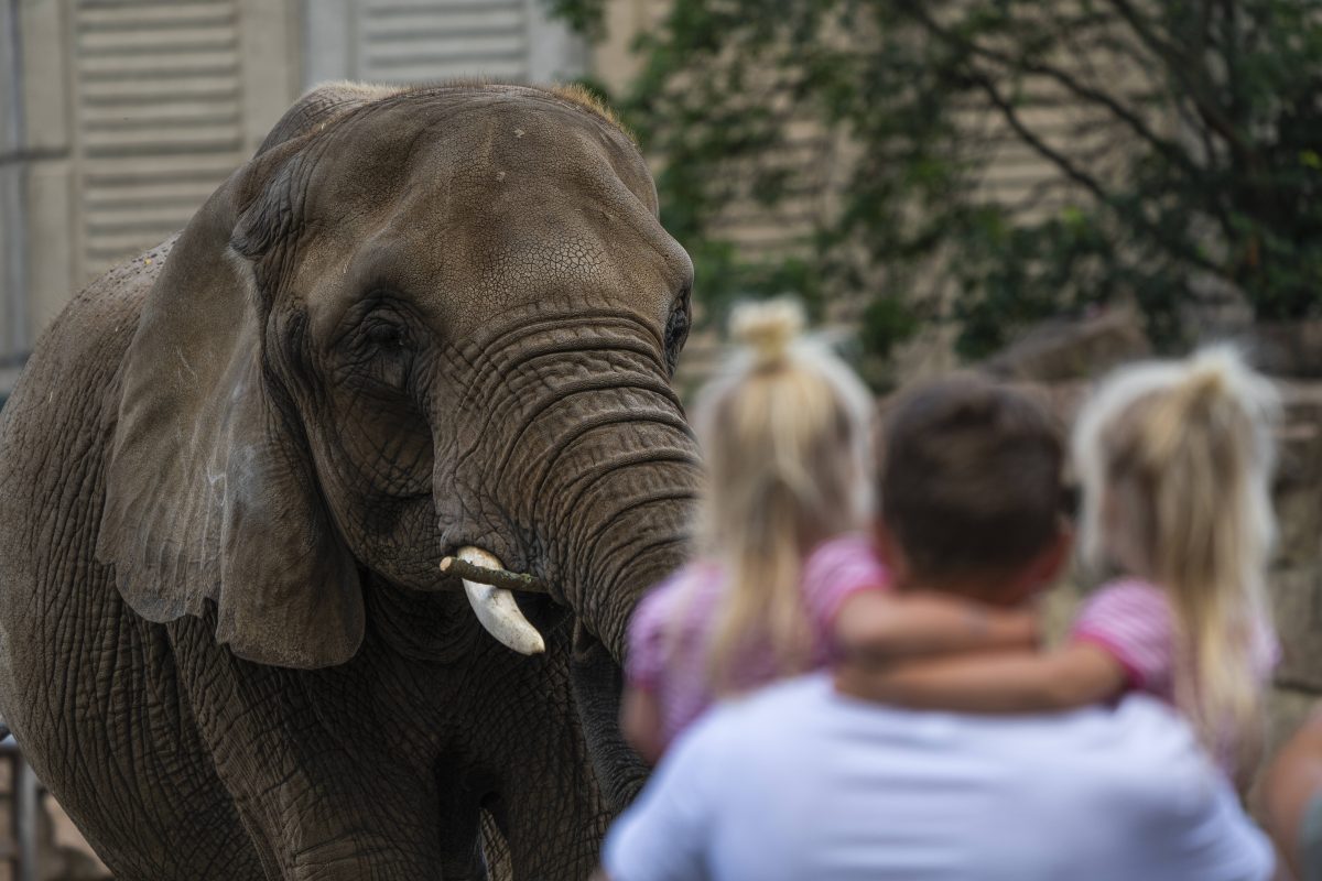 Zoo Berlin