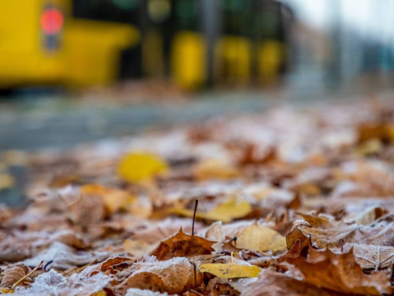 Wetter in Berlin & Brandenburg