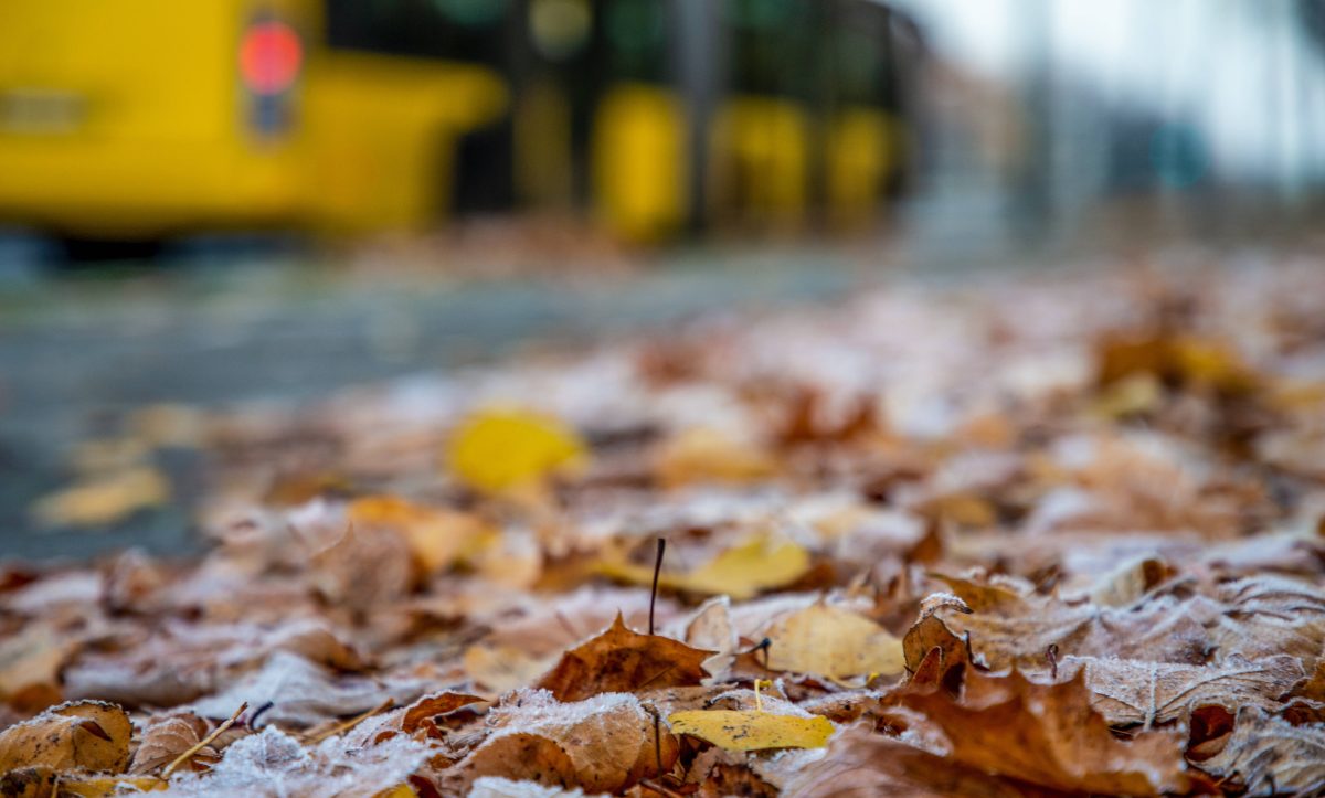 Wetter in Berlin & Brandenburg