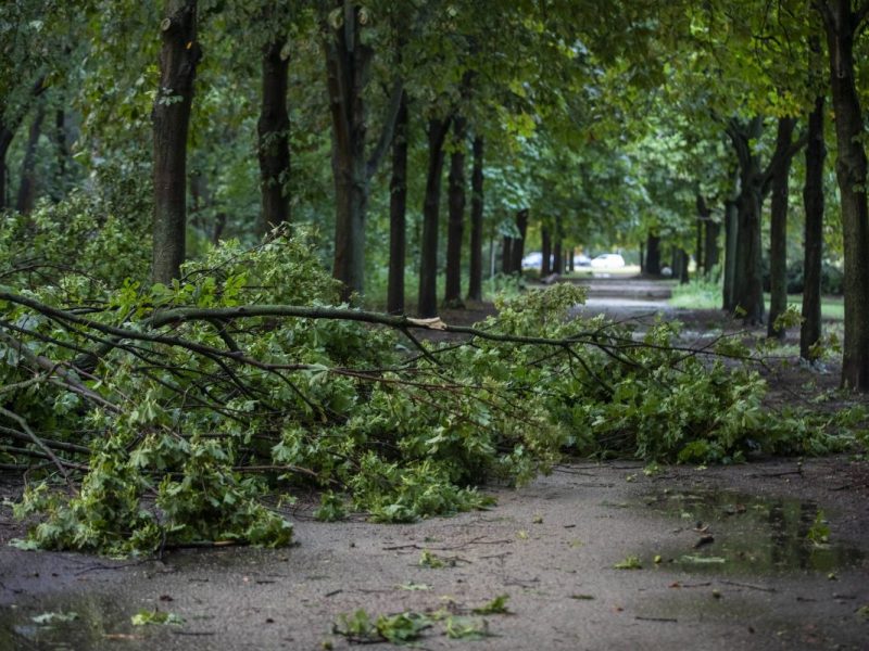 Wetter in Berlin & Brandenburg