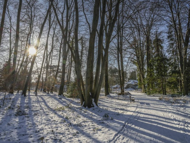 Wetter in Berlin & Brandenburg