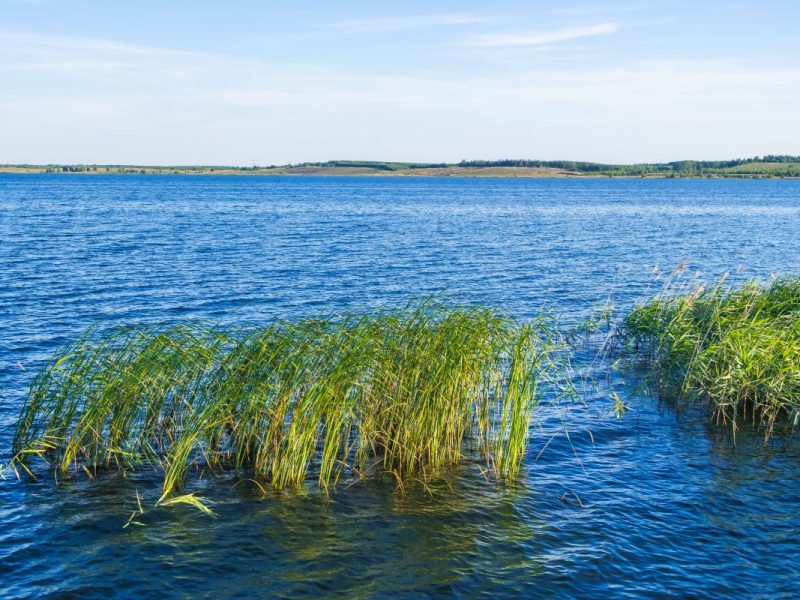Brandenburg