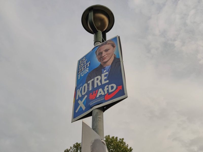Brandenburg-Wahl