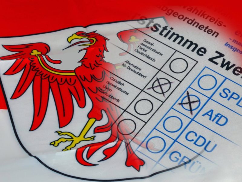 AfD-Hammer bei Prognose vor Brandenburg-Wahl