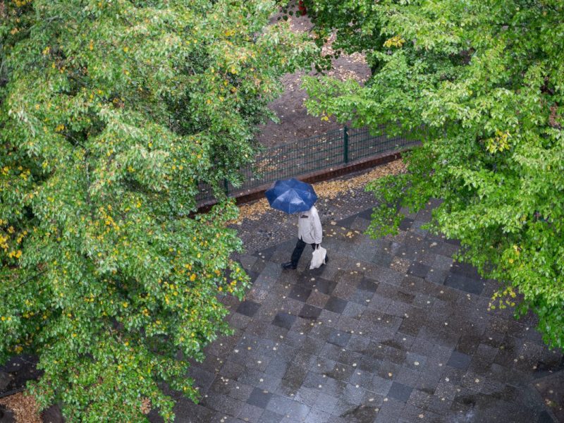 Wetter