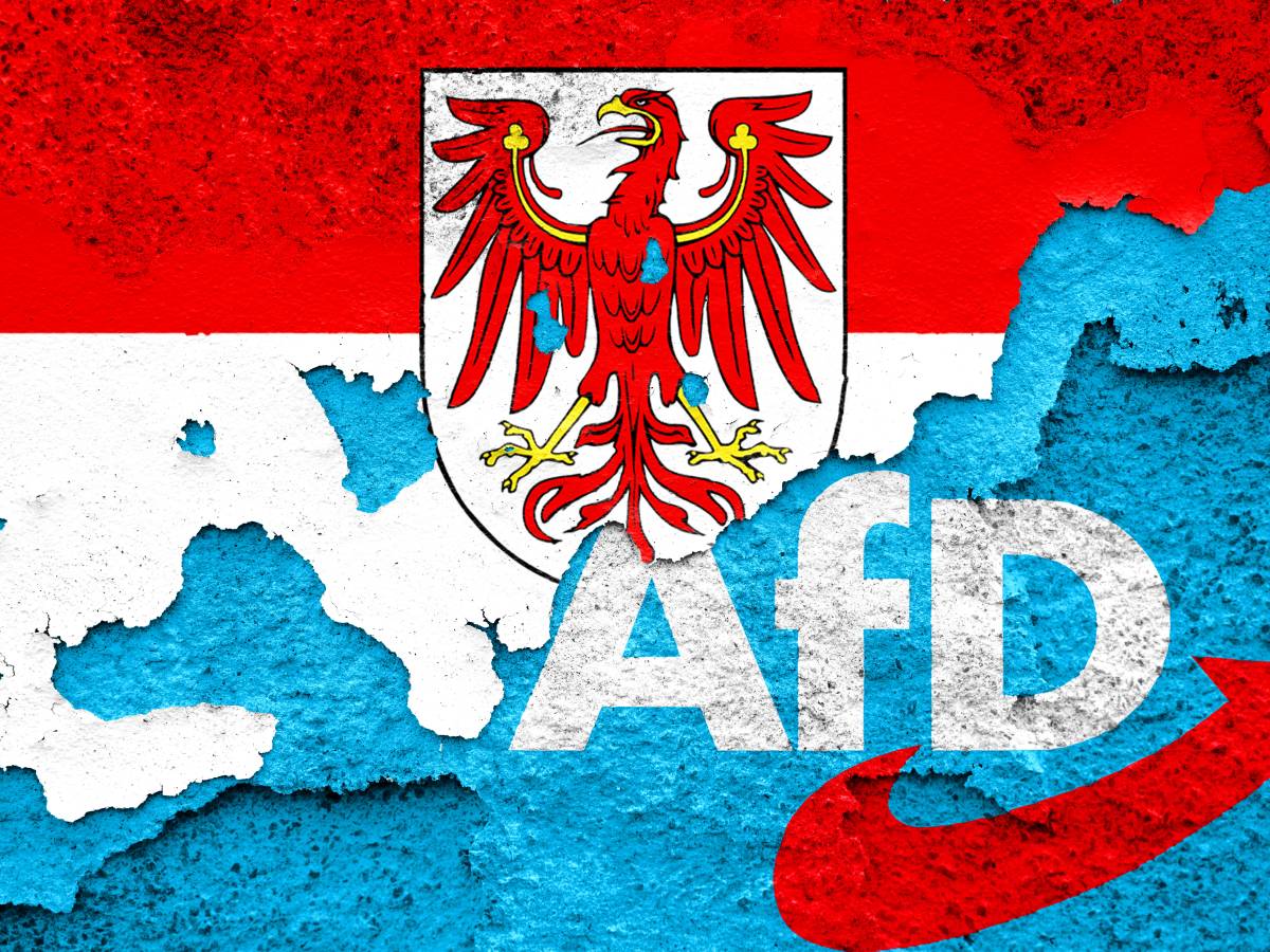 Die AfD bei der Brandenburg-Wahl 2024