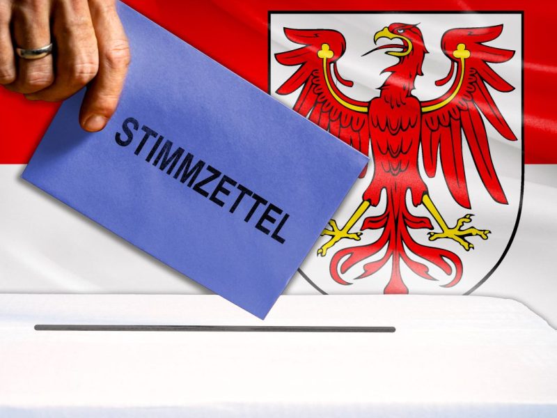 Landtagswahl in Brandenburg: Letzte Umfrage