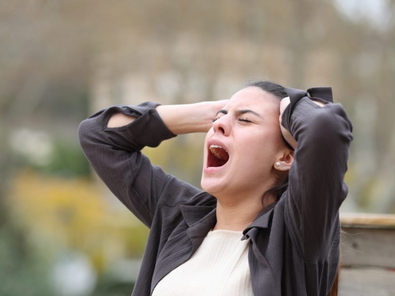 Wetter in Berlin und Brandenburg