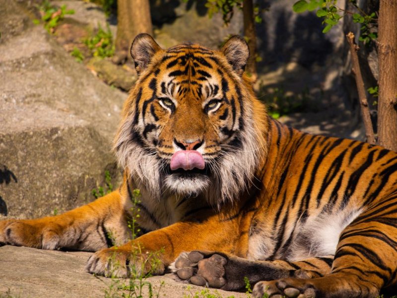 Zoo Berlin