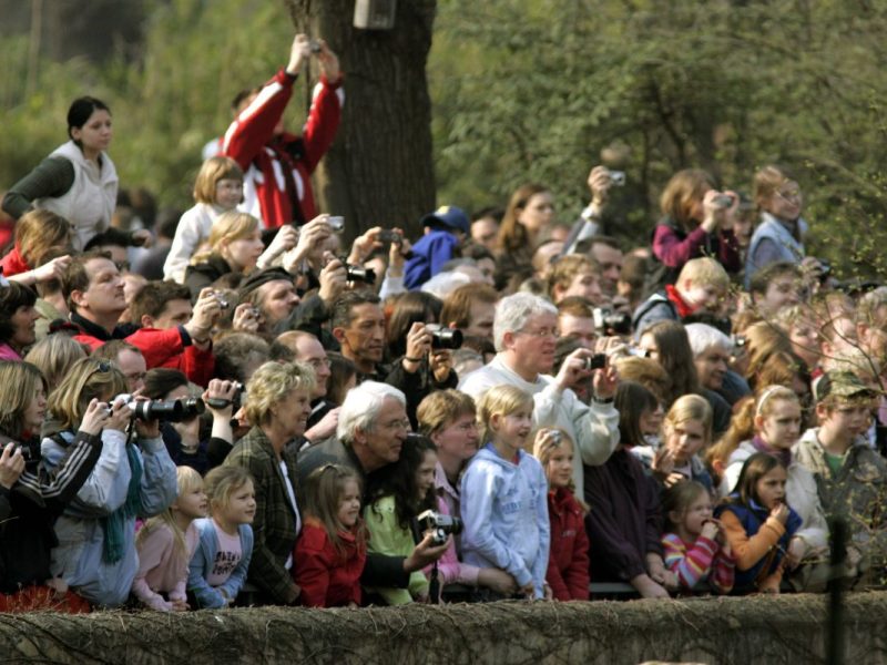 Zoo Berlin