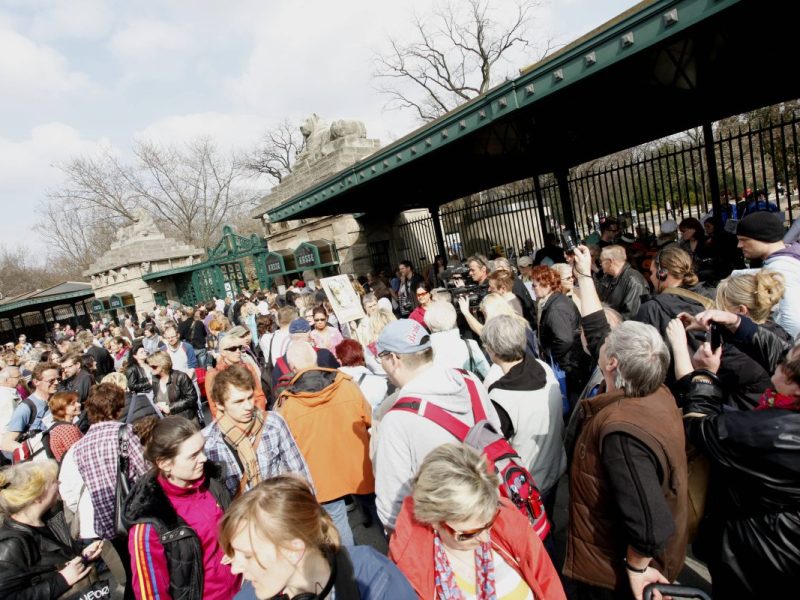 Zoo Berlin
